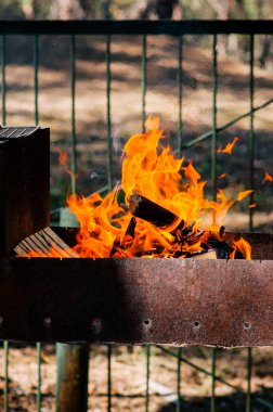 Izgara yap. Şenlik ateşi barbekü doğası. Izgarada şenlik ateşi pişiyor. Ormanda piknik yapmak. Yaz tatilinde yaz ormanında