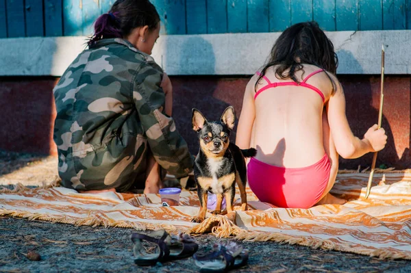 Två Tjejer Tittar Smartphone Och Chihuahua Barn Rekreation Skog Natur — Stockfoto