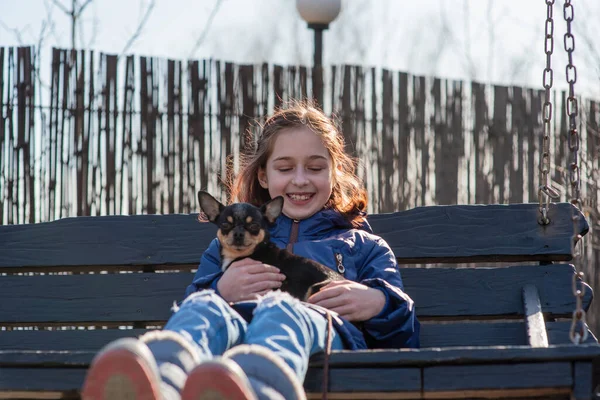Bambina Con Cucciolo Chihuahua Tramonto Cucciolo Nelle Mani Una Ragazza — Foto Stock