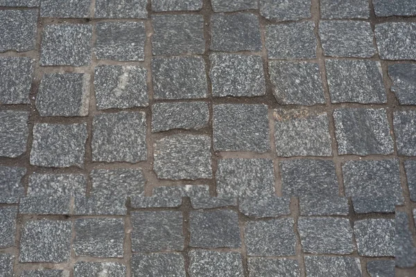 Gri Kaldırım Taşlarıyla Döşenmiş Eski Avrupa Avlusu Pavers Dokusu Sokak — Stok fotoğraf