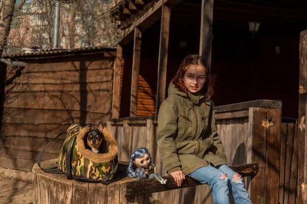 Дівчина Маленьким Собакою Дівчина Прогулянці Собакою Лялькою Підліток Дитина Чихуахуа — стокове фото