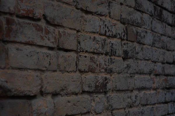 Старая Кирпичная Стена Зеленым Мхом Структура Старого Кирпича Расцвела Текстура — стоковое фото