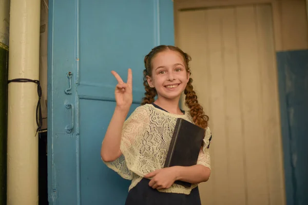 Portrait Une Fille Uniforme Scolaire Avec Deux Nattes Avec Des — Photo