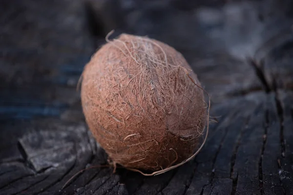 ココナッツだ ヤシの木は生命の木と考えられており そのすべての部分で使用されており 木の果実は料理だけでなく医療目的でも使用されています — ストック写真