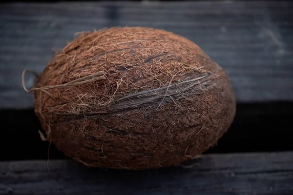 Coconut. coconut palm tree has been considered the tree of life, and is used in all its parts, and the fruits of the tree are used not only for cooking, but also for medicinal purposes.