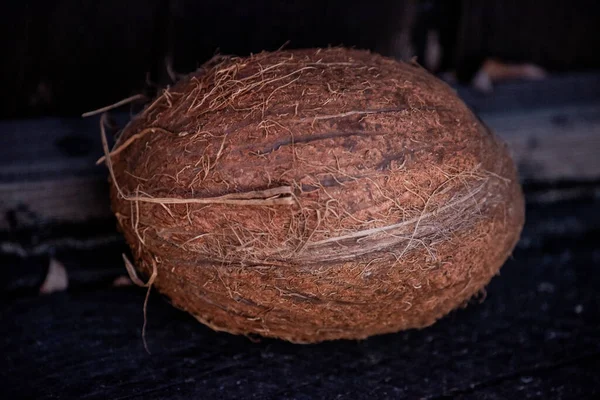 Coco Coqueiro Tem Sido Considerado Árvore Vida Usado Todas Suas — Fotografia de Stock