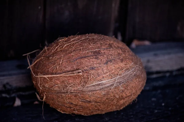 Кокос Кокосова Пальма Вважається Деревом Життя Використовується Всіх Його Частинах — стокове фото