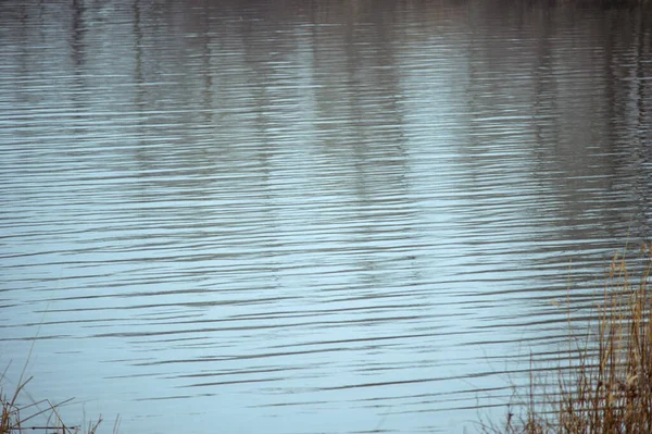 Текстура Речной Воды Абстрактный Водный Фон Текстура Воды Река Озеро — стоковое фото
