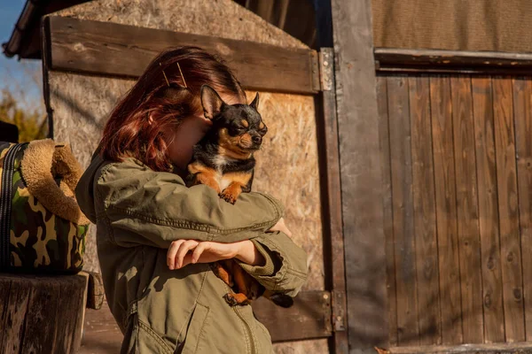 Vacker Tonåring Flicka Och Chihuahua Chihuahua Armarna Flicka Flickan Rastar — Stockfoto