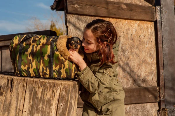 beautiful teen girl and Chihuahua. chihuahua in the arms of a girl. The girl walks her dog during the coronavirus away from crowds. Virus. corona virus. Spring.A teenager and a dog walk during a virus