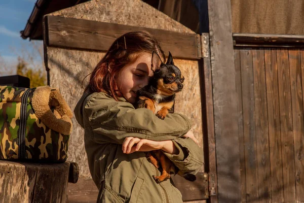 Bela Menina Adolescente Chihuahua Chihuahua Nos Braços Uma Menina Menina — Fotografia de Stock