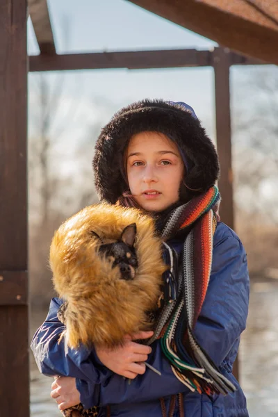 Güzel genç kız ve Chihuahua. Bir kızın kollarında chihuahua. Kız, Coronavirus sırasında köpeğini kalabalıktan uzaklaştırıyor. Virüs. Corona virüsü. İlkbahar. Bir genç ve bir köpek virüs sırasında yürür.