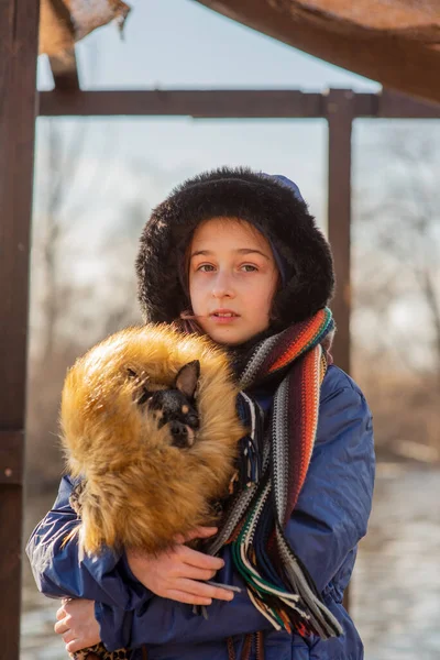 beautiful teen girl and Chihuahua. chihuahua in the arms of a girl. The girl walks her dog during the coronavirus away from crowds. Virus. corona virus. Spring.A teenager and a dog walk during a virus