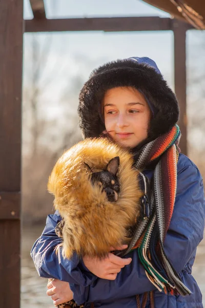 beautiful teen girl and Chihuahua. chihuahua in the arms of a girl. The girl walks her dog during the coronavirus away from crowds. Virus. corona virus. Spring.A teenager and a dog walk during a virus