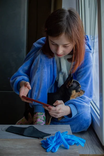 彼女は外に出ることができないので 彼女のChihuahuaと女の子 ライフスタイルの概念女の子と犬のコロナウイルスは家にいます ウイルス感染中にChihuahua犬と女の子9歳 コロナウイルス — ストック写真