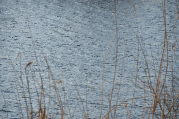 Vannflaten Abstrakt Bakgrunn Elver Eller Sjøvann Med Små Bølger Vannstruktur – stockfoto