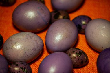Renkli paskalya yumurtaları. Renkli yumurtalar mor. Turuncu masa örtüsü üzerinde mor yumurtalar. Mutlu Paskalyalar