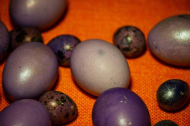 Renkli paskalya yumurtaları. Renkli yumurtalar mor. Turuncu masa örtüsü üzerinde mor yumurtalar. Mutlu Paskalyalar