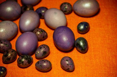 Renkli paskalya yumurtaları. Renkli yumurtalar mor. Turuncu masa örtüsü üzerinde mor yumurtalar. Mutlu Paskalyalar