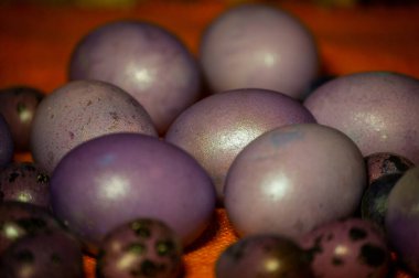 Renkli paskalya yumurtaları. Renkli yumurtalar mor. Turuncu masa örtüsü üzerinde mor yumurtalar. Mutlu Paskalyalar