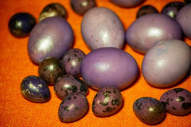 Renkli paskalya yumurtaları. Renkli yumurtalar mor. Turuncu masa örtüsü üzerinde mor yumurtalar. Mutlu Paskalyalar