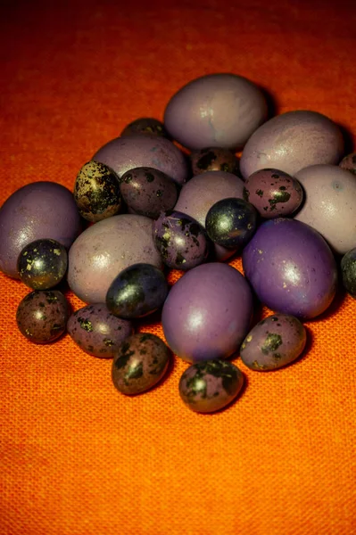 Huevos Coloridos Pascua Huevos Color Púrpura Huevos Morados Sobre Mantel — Foto de Stock