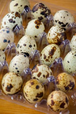 Tahtadaki bıldırcın yumurtaları. Bıldırcın yumurtası. Sağlıklı beslenme, yemek fotoğrafçılığı. Mutlu Paskalyalar. Organik ürünler. Çiğ bıldırcın yumurtası.