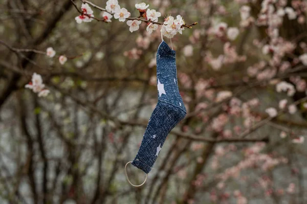 Medical Mask Hanging Blooming Apricot Outdoors Pandemic Spring 2020 Medical — Stock Photo, Image