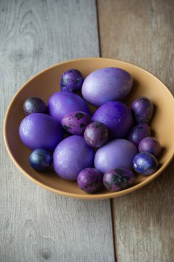 Renkli paskalya yumurtaları. Renkli yumurtalar mor. Mor yumurtalar. Mutlu Paskalyalar