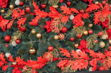 Noel ağacı. Noel ağacı arkaplanı. Güzel dekore edilmiş noeller. Tatil konsepti. Yeni yıl. Noel ağacında kırmızı süslemeler.