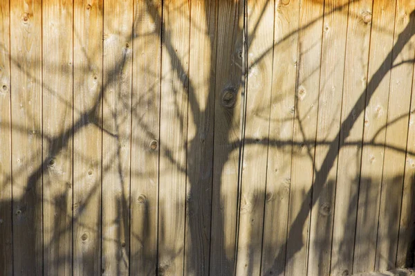 Wall of vertical old boards. Sun shadow falling on old boards. shadow on the boards. Wooden boards with shadows on them. Textural striped background for copy space. Sun shadow falling on old boards.