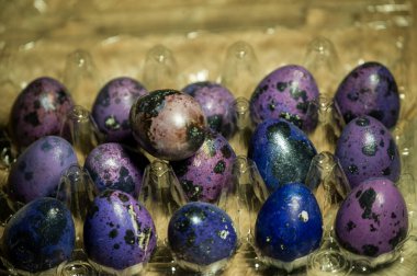 Tahtadaki bıldırcın yumurtaları. Bıldırcın yumurtası. Sağlıklı beslenme, yemek fotoğrafçılığı. Mutlu Paskalyalar. Organik ürünler. Paskalya için mor yumurta boyası. Paskalya bahar tatili konsepti