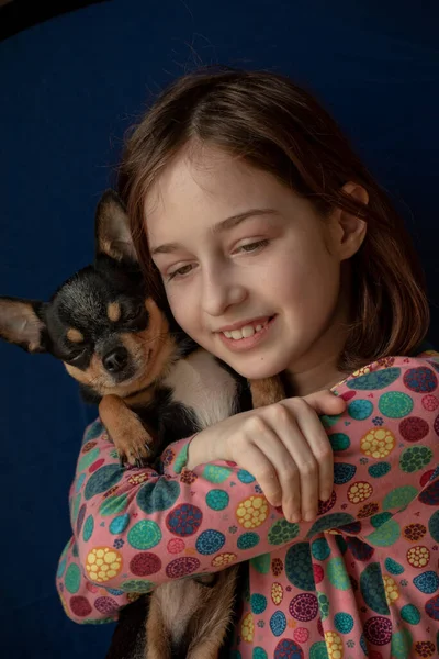 Niña Con Chihuahua Chica Sosteniendo Chihuahua Chica Con Mascota Sus — Foto de Stock