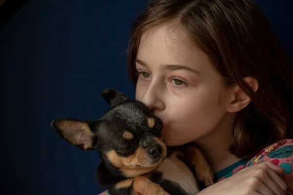 Little Girl Chihuahua Girl Holding Chihuahua Girl Her Pet Her — 스톡 사진
