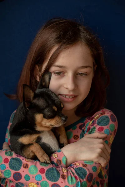 Little Girl Chihuahua Girl Holding Chihuahua Girl Her Pet Her — 스톡 사진