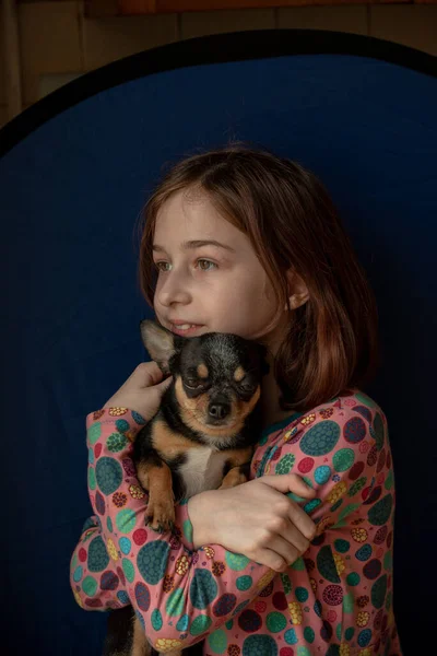 Petite Fille Avec Chihuahua Une Fille Tenant Chihuahua Fille Avec — Photo
