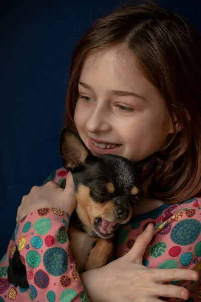 Petite Fille Avec Chihuahua Une Fille Tenant Chihuahua Fille Avec — Photo