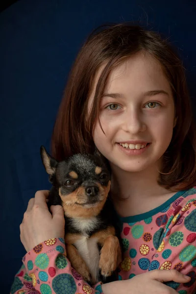 Holčička Čivavou Dívka Držící Čivavu Dívka Svým Mazlíčkem Náručí Chihuahua — Stock fotografie