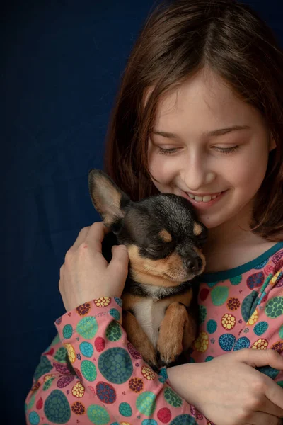 Niña Con Chihuahua Chica Sosteniendo Chihuahua Chica Con Mascota Sus — Foto de Stock