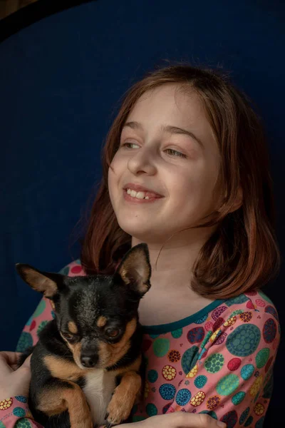 Fetiţă Chihuahua Fata Ţine Chihuahua Fata Animalul Companie Brațe Chihuahua — Fotografie, imagine de stoc