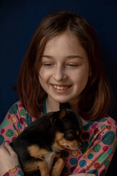Dziewczynka Chihuahua Dziewczyna Trzymająca Chihuahua Dziewczyna Zwierzakiem Ramionach Chihuahua Czarnym — Zdjęcie stockowe