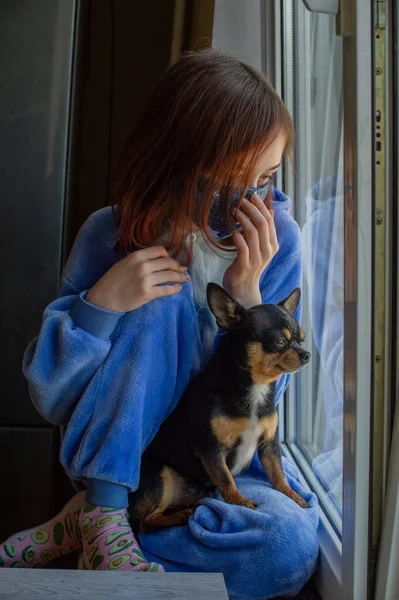 Flicka Med Sin Chihuahua Genom Fönstret Eftersom Hon Inte Kan — Stockfoto