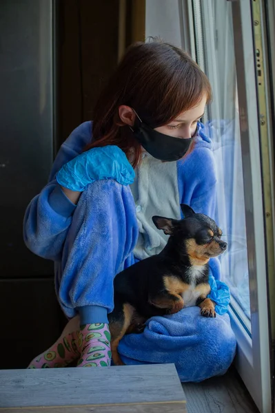 Flicka Med Sin Chihuahua Genom Fönstret Eftersom Hon Inte Kan — Stockfoto