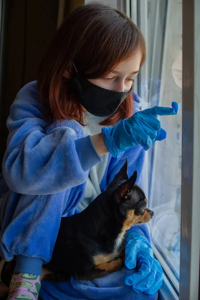 Girl with her chihuahua out the window because she cannot go outside. Lifestyle concept.Girl and dog coronavirus stay home. Girl 9 years old with a chihuahua dog during a viral infection. Corona virus