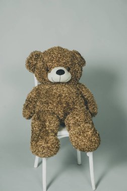 Oyuncak ayı. Gri arka planda kahverengi ayıcık. Bar taburesinde fotoğraf stüdyosunda pofuduk kahverengi bir fotoğraf. Bir oyuncak. Çocukluk. Gri arka planda Küçük Kahverengi Ayı Bebeği