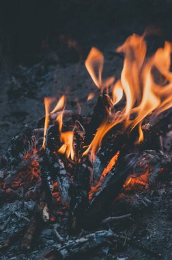 Yanan odunlar ve kırmızı ateşle taşınabilir metal ızgara. Sokakta barbekü. Ateş ve kömür ızgara. Barbekü ekipmanları. Barbekü pikniği. Kulübe konseptinde şenlik ateşi güvenliği. Şenlik ateşi.