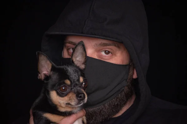 Coronavirus.Man in protective surgical mask.Coronavirus disease COVID-19 is dangerous for pets.Masked man with a dog. Chihuahua and a masked man. Health, bacteria, protection.Guy on a black background