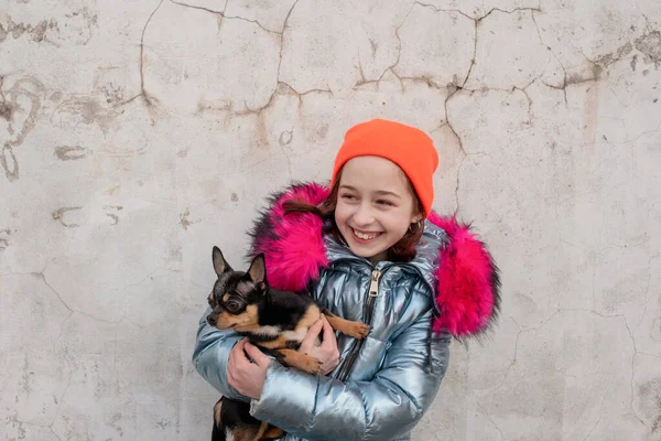 Kız Köpek Chihuahua Köpeği Olan Küçük Bir Kız Bir Kızın — Stok fotoğraf