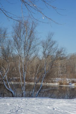 Karlı kış nehri. Nehir ve doğa karı.