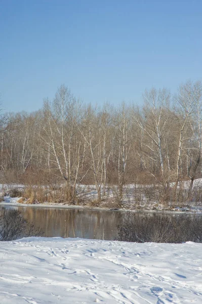 winter river in snowfall. River and nature snow.